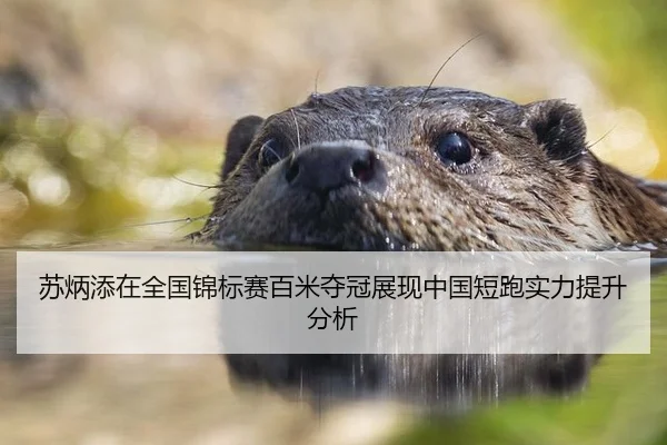 苏炳添在全国锦标赛百米夺冠展现中国短跑实力提升分析